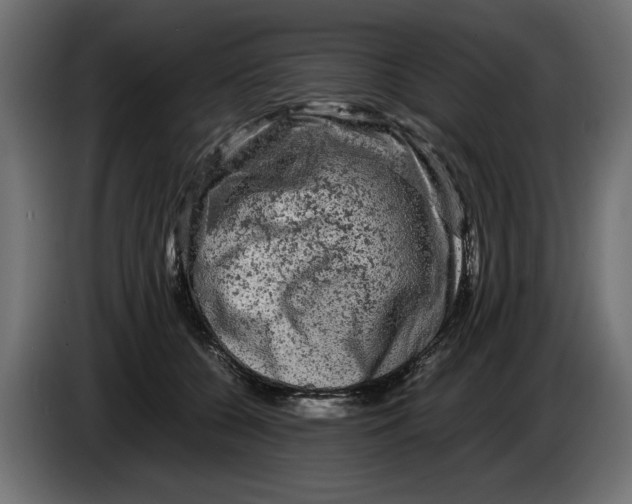 X0000082970560200703020237