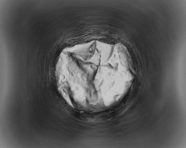X0000082970561200703020237