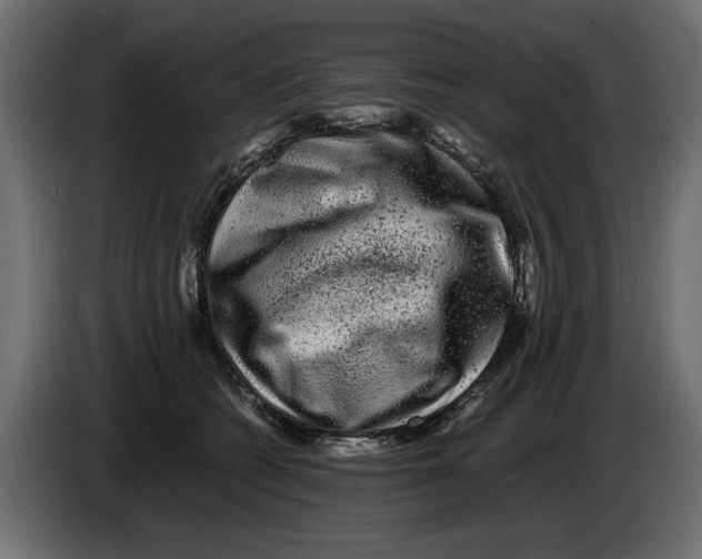 X0000082970562200703020237