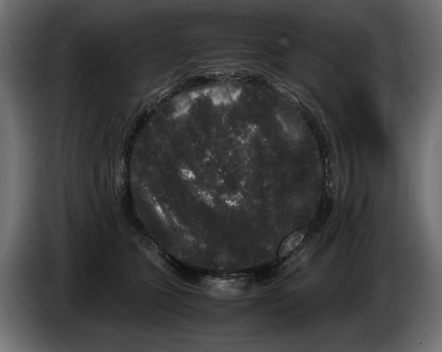 X0000082970563200703020237