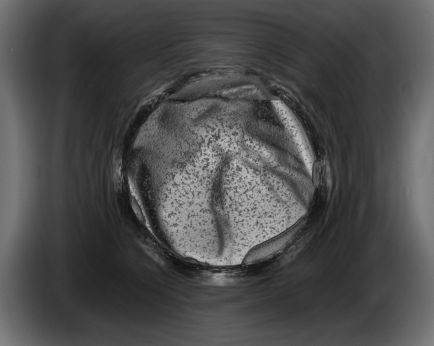 X0000082970564200703020237