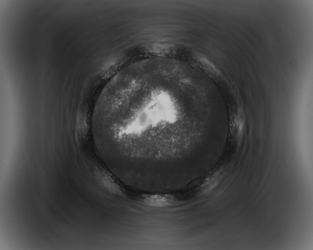 X0000082970566200703020237