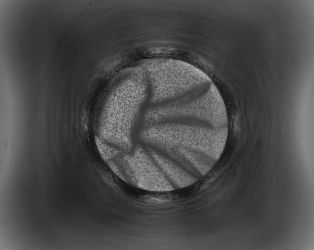 X0000082970567200703020237