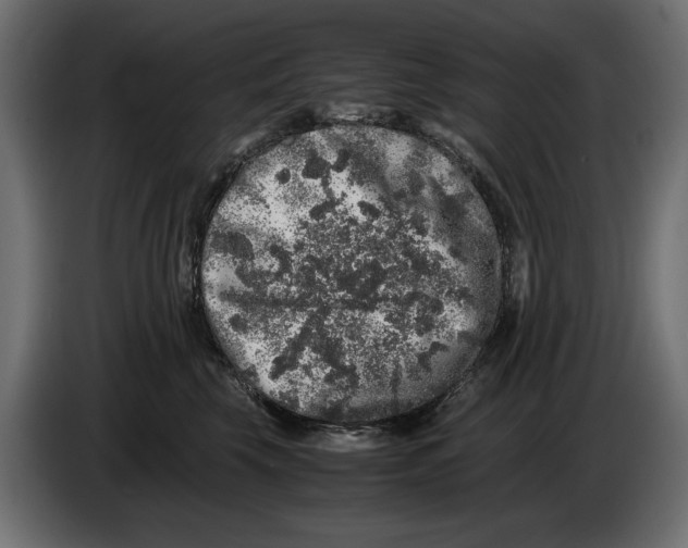 X0000082970569200703020237