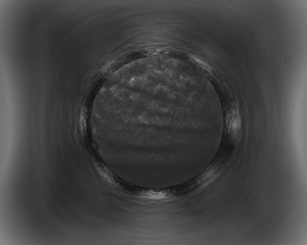 X0000082970570200703020237