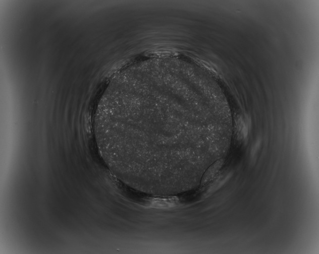 X0000082970571200703020237