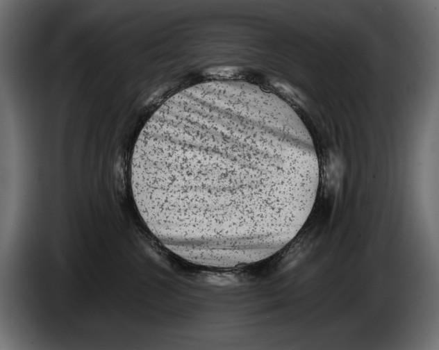 X0000082970572200703020237
