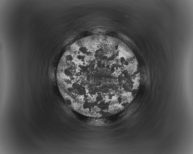 X0000082970573200703020237