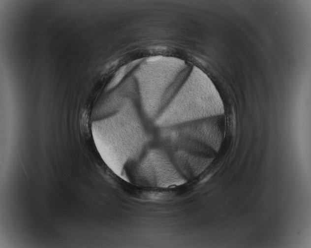 X0000082970575200703020237