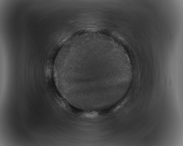 X0000082970576200703020237