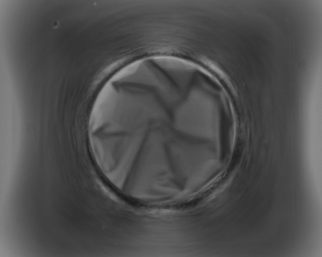 X0000082970577200703020236