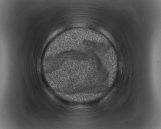 X0000082970578200703020236