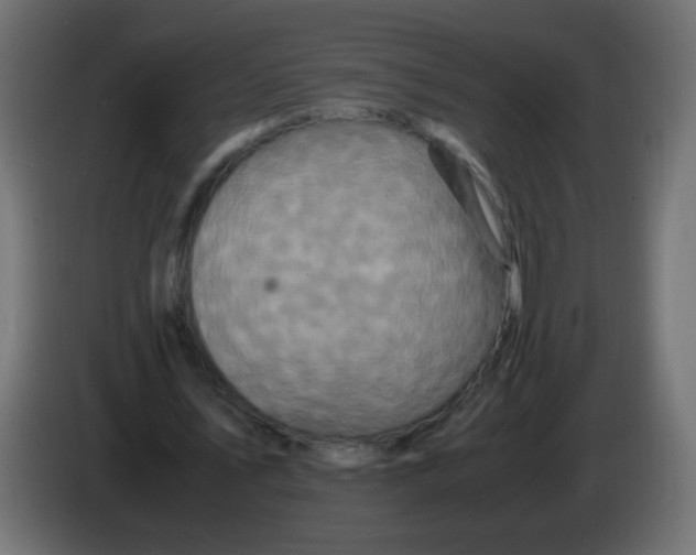 X0000082970579200703020236