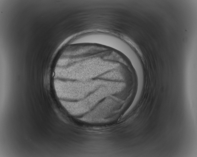 X0000082970580200703020236