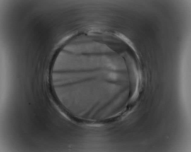 X0000082970581200703020236