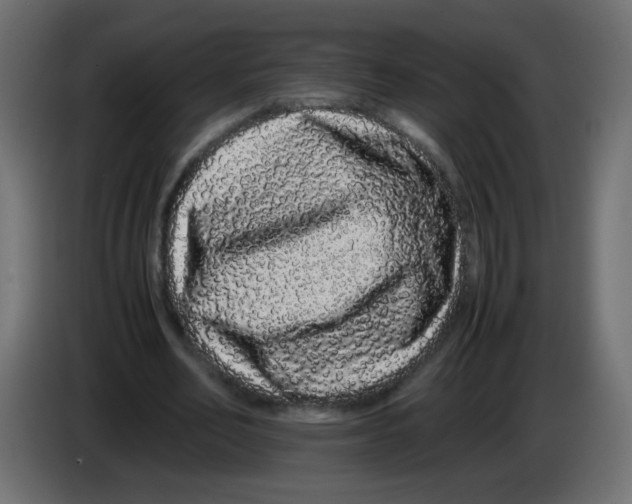 X0000082970582200703020236