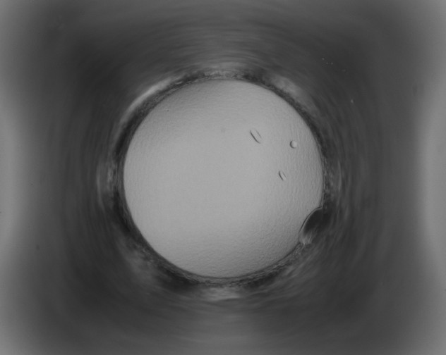 X0000082970583200703020236
