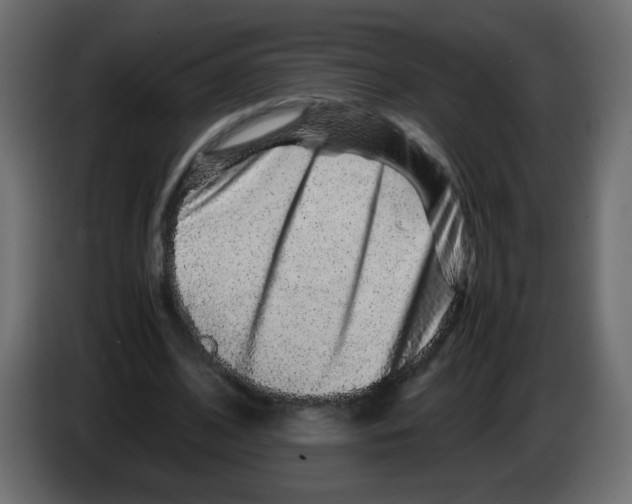 X0000082970584200703020236