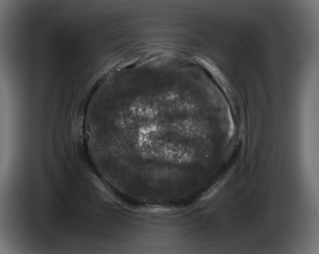 X0000082970585200703020236