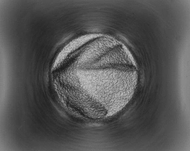 X0000082970586200703020236