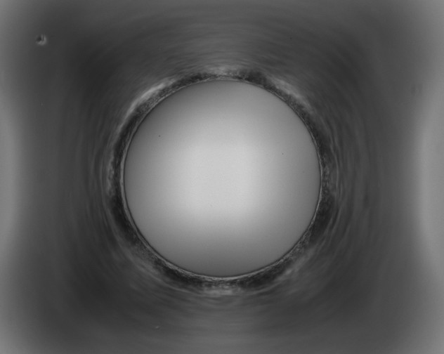 X0000082970587200703020236