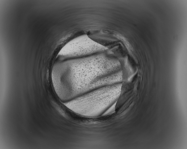 X0000082970589200703020236