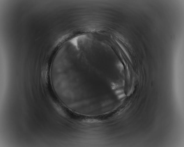 X0000082970590200703020236