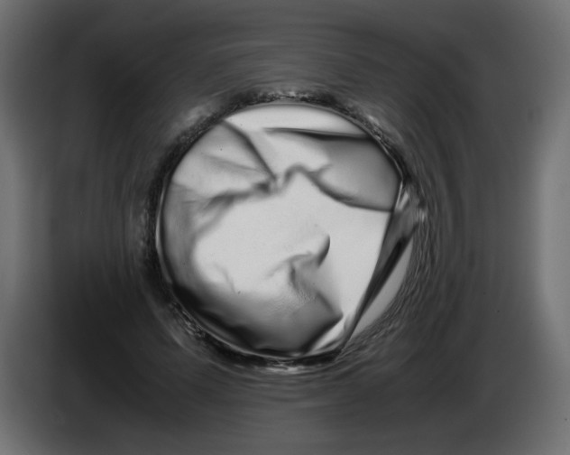 X0000082970591200703020236