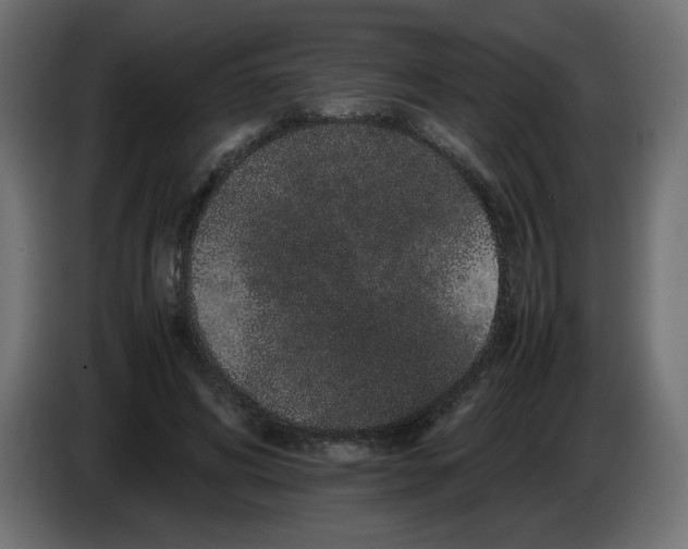 X0000082970592200703020236