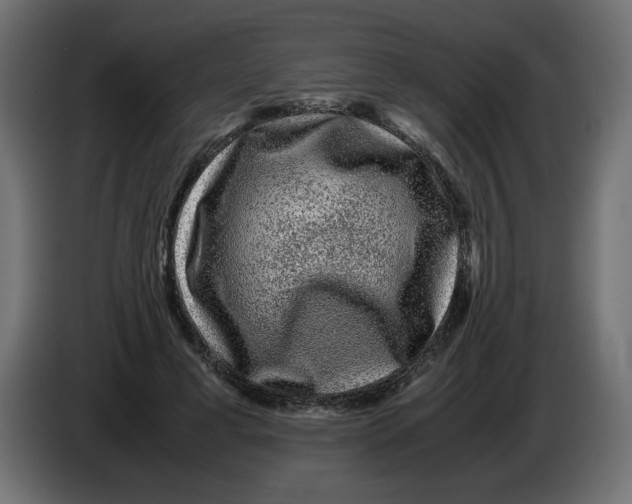 X0000082970593200703020236