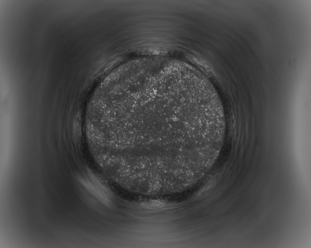 X0000082970594200703020236