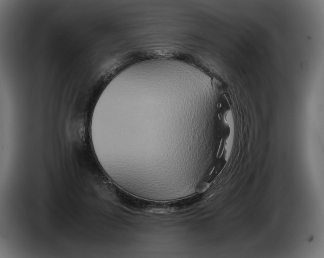 X0000082970595200703020236