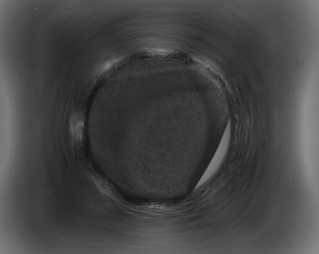 X0000082970596200703020236