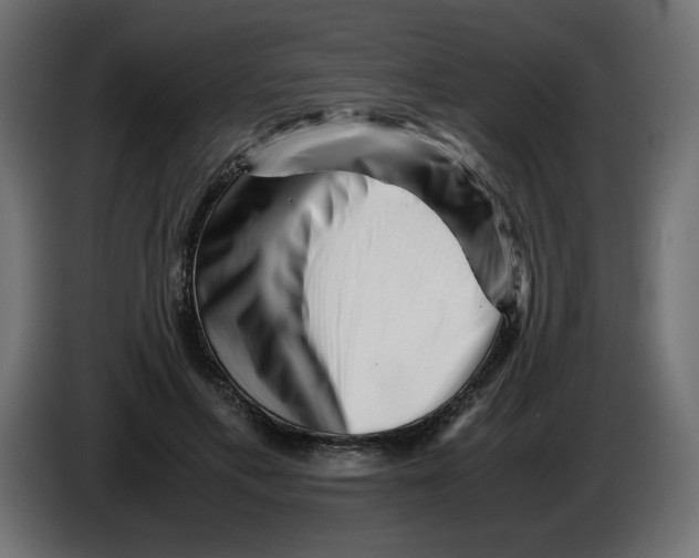 X0000082970597200703020236