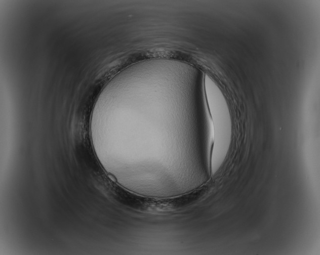 X0000082970599200703020236