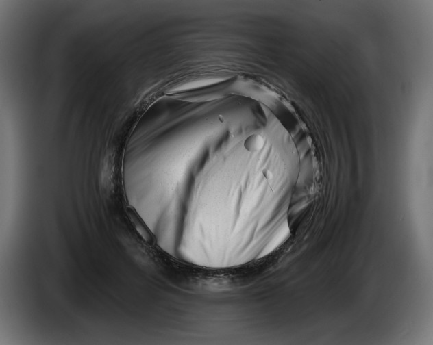X0000082970600200703020236