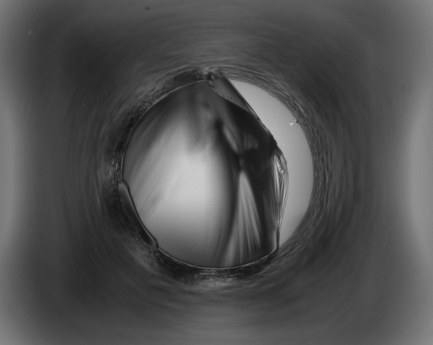 X0000082970601200703020236