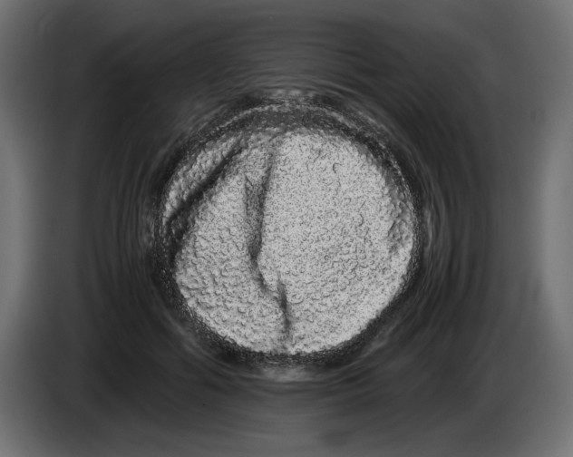 X0000082970602200703020236