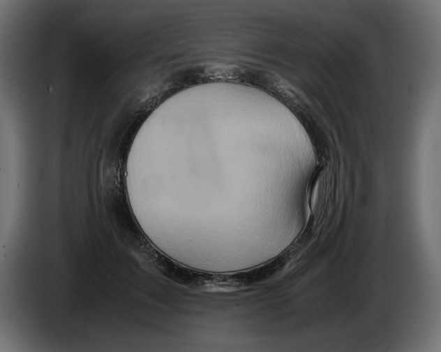 X0000082970603200703020236