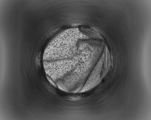 X0000082970604200703020236