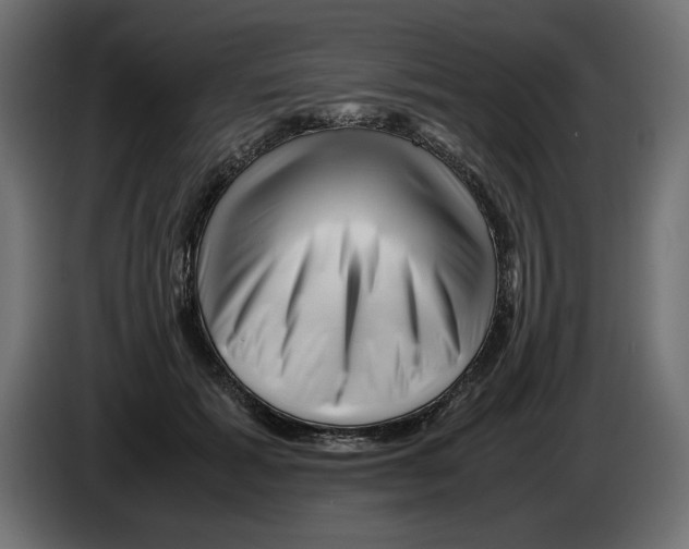 X0000082970605200703020236