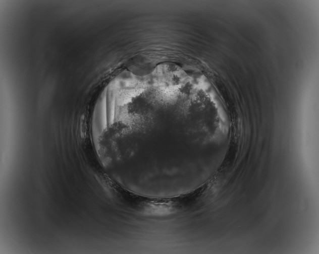 X0000082970606200703020236
