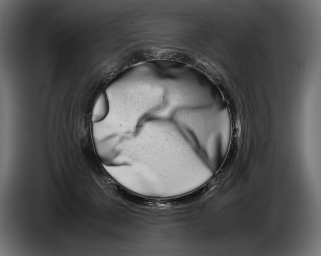 X0000082970607200703020236