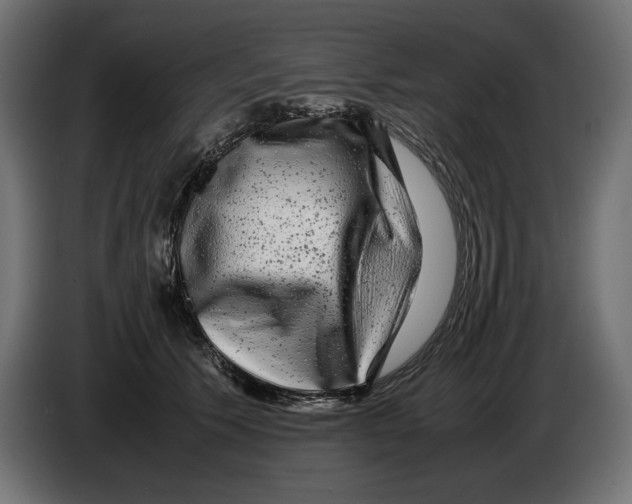 X0000082970609200703020236
