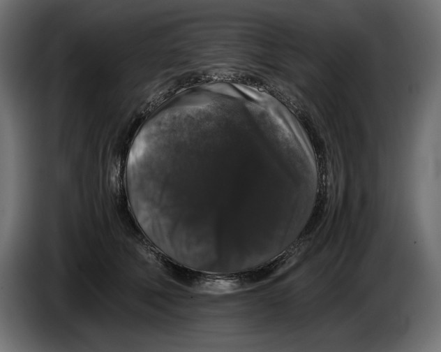 X0000082970610200703020236
