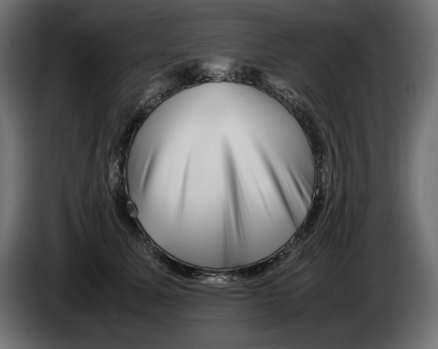 X0000082970611200703020236