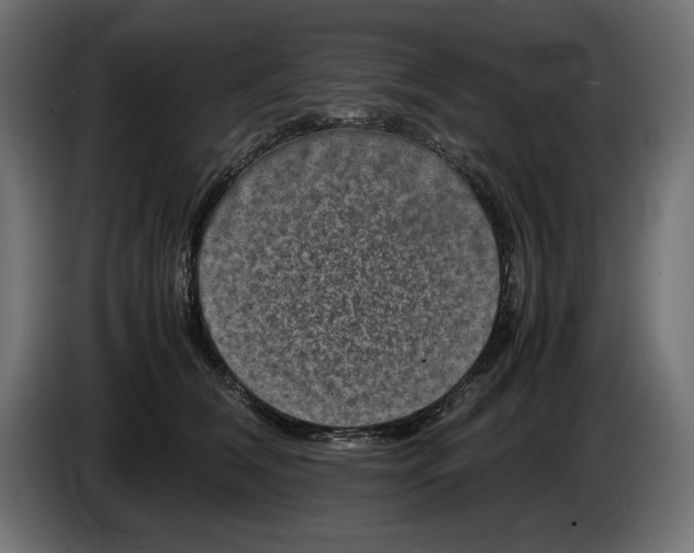 X0000082970612200703020236