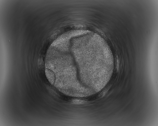 X0000082970614200703020236