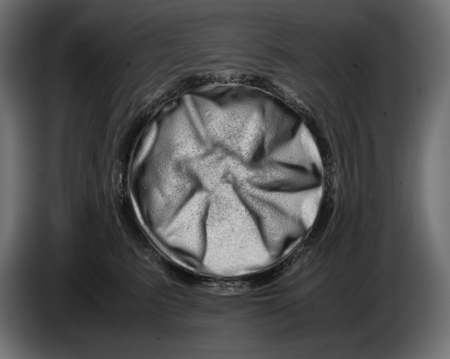 X0000082970615200703020236