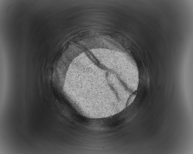 X0000082970616200703020236